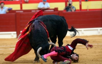 Emocionante final en el concurso de Recortadores de Toropasión