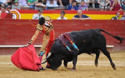 Éxito rotundo en la IIIn Edición de Toros para Niños con El Fandi