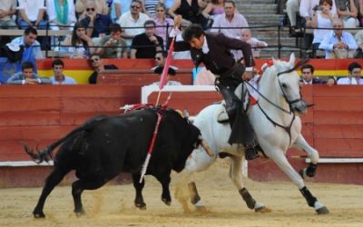 Viaja con Renfe a Hogueras desde 38,95€