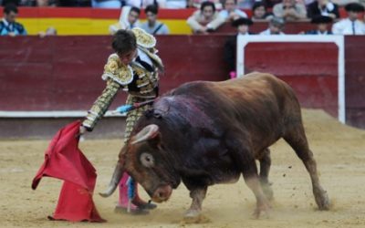 La escuela de Alicante es respaldada por la afición que congrega a más de 5000 personas