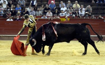 José María Cano autor del cartel de Fogueres 2015