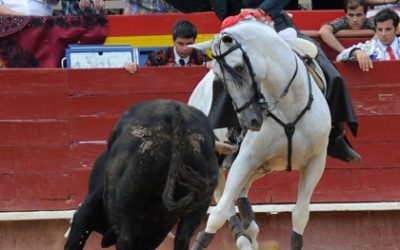 Los toreros anunciados en Hogueras «toman» Alicante en distintos soportes publicitarios