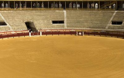 Esta noche se ponen a la venta las entradas sueltas para Hogueras 2018