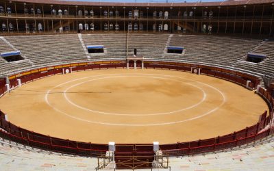 José Miguel Soriano, pregonero de la feria taurina de Alicante