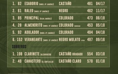 Orden de lidia de los toros de Hnos. García Jiménez para el Corpus