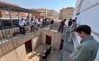 Seria corrida de Martín Lorca para cerrar la Feria de la Virgen del Prado