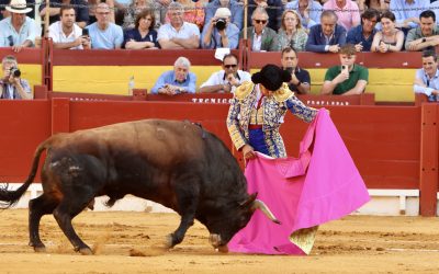 Alejandro Talavante a hombros, la tarde cumbre de Hogueras en la que un gran Morante se negó a hacerlo por el agravio del palco